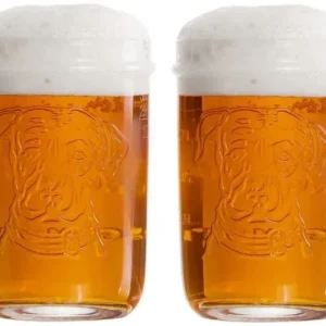 Lagunitas Biergläser 300 ml - 2 Stück