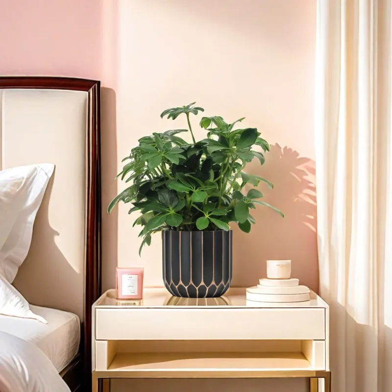 NORDICORE POT – Minimalist Scandinavian Planter for Modern Home Decor